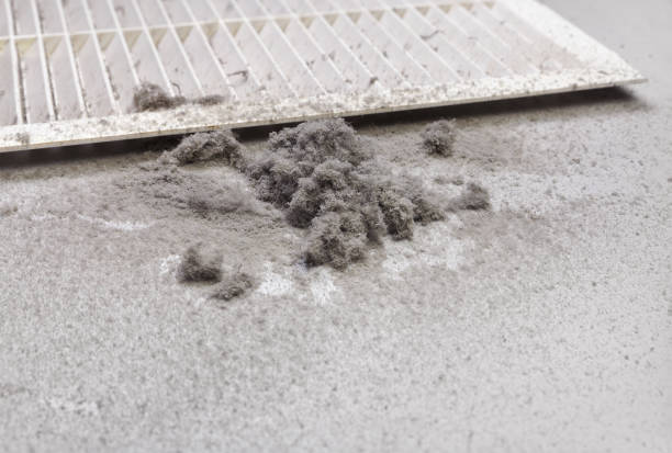 Best Air Duct Cleaning Near Me  in Harrison, TN