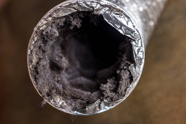 Best Affordable HVAC Duct Cleaning  in Harrison, TN